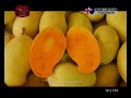 mihikatha-dinuwo-26-10-2019