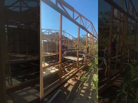 Video de la carta