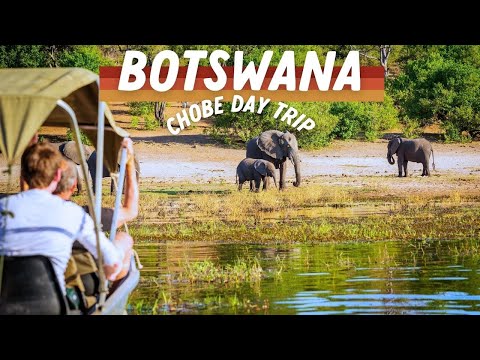 Epic Day Trip from Victoria Falls: Safari in Botswana’s Chobe National Park