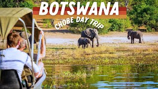 Epic Day Trip from Victoria Falls: Safari in Botswana’s Chobe National Park