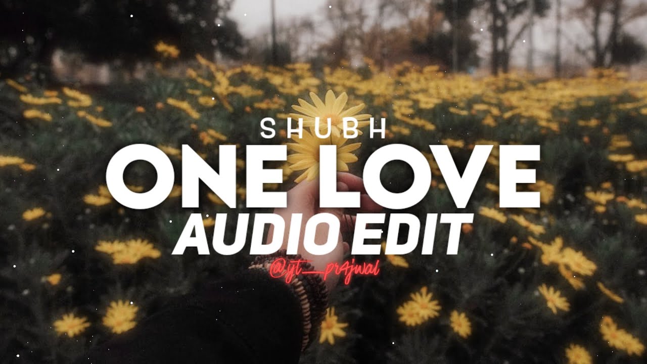 ONE LOVE (extended version) - SHUBH [edit audio]