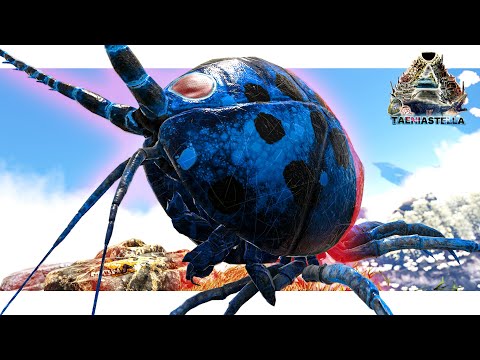 I Tamed a Seriously Messed Up Ladybird - Monarky S4 EP6