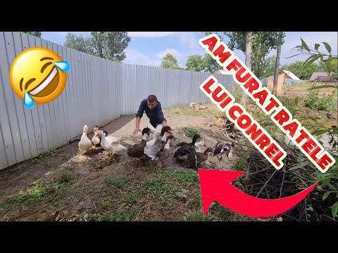 Am fost la amanet să verificăm dacă brățara este de AUR !