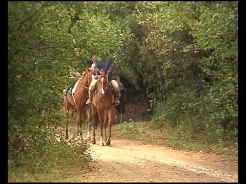 Route des vins - Italie - De la Toscane à l'Adriatique