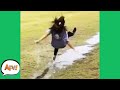 Slip Slide And FAIL Funniest Fails AFV 2020