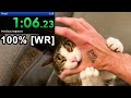 Annoying My Cat Until He Gives Up The Chair Speedrun 100 WR