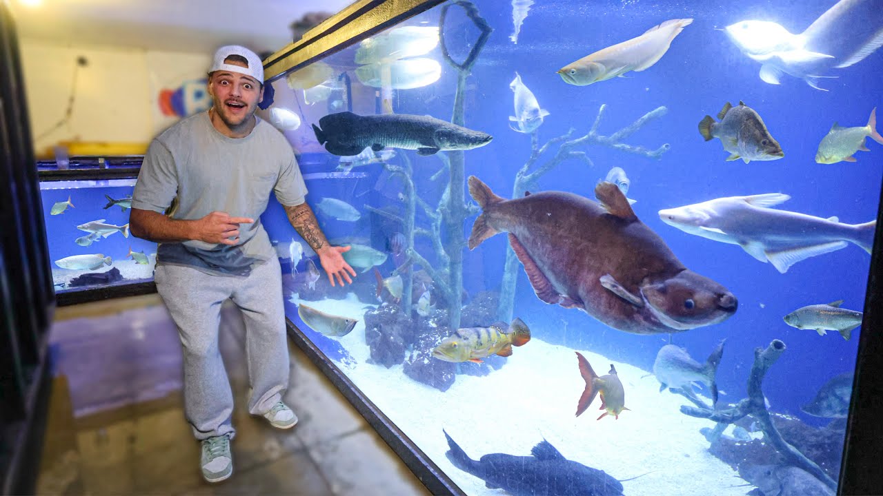 Visiting the LARGEST FISH Collection EVER!!