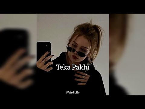 Teka Pakhi [slowed+reverb] || Masha, Emon, Anam || Bengali Trending Song || Weird Life ✨🖤