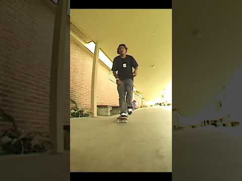 Treeflip crocked Felipe Gustavo - Plan B Vandalism