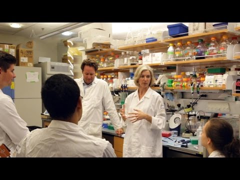 Promise and peril of gene editing CRISPR technology