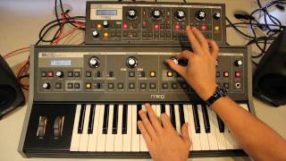 Video thumbnail for Going polyphonic with the Moog Slim Phatty and Little Phatty by SourceDistributionTV
