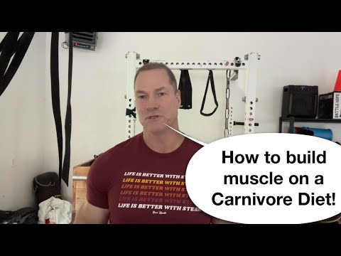 How to build muscle on the Carnivore diet!!