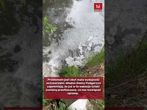 Zanieczyszczenia przy Stawach Podg&oacute;rzyńskich