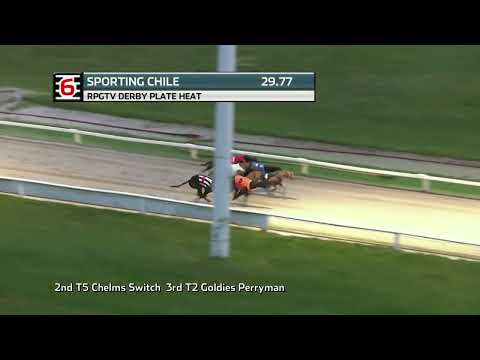 GREYHOUND DERBY PLATE LANES - THE SEMIS