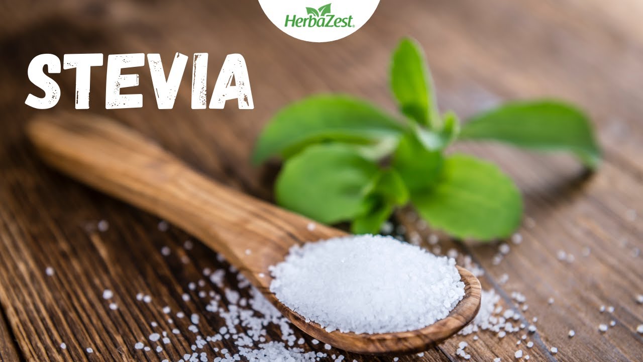 Stevia benefits and properties - Herbazest