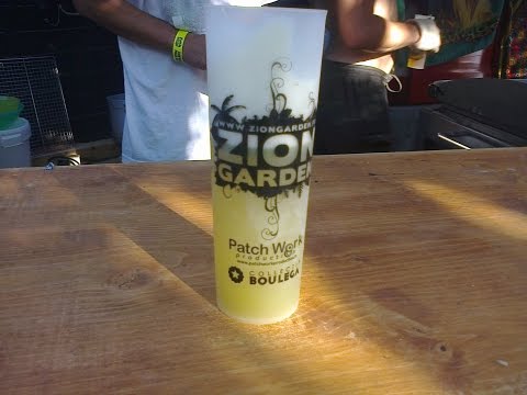 Vidéo0068 After Zion Garden 2015 RANKING SAIDEN & BOSNA Freestyle + Dj Gyps