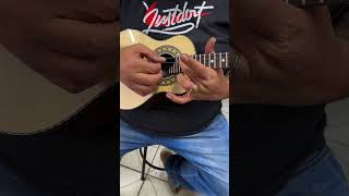 Cavaco Jacarandá Baiano