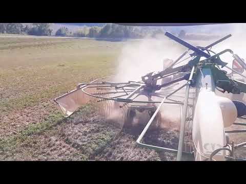 Verrückter Bauer Teil 1 -  Ernte Silo 2018 Futternot Claas Krone Schwader Landwirtschaft