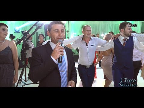 Dumitru Stoicanescu live 2018