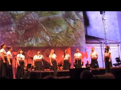 JOŠ MI DIGOD BURA VRATI   klapa Skradinke   VDP, Kaštela 2016