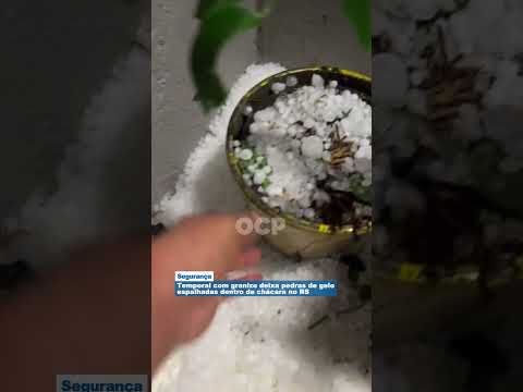 Temporal com granizo deixa pedras de gelo espalhadas dentro de chácara no RS