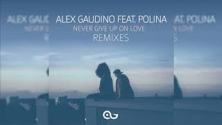 Alex Gaudino - Never Give Up on Love (Dyson Kellerman Remix)
