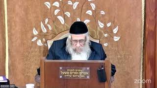 הרה"ג הרב וועכטר שליט"א כ"ט חשון תשפ"ו - מאמר הרבי הריי"צ תש"ח ד"ה ויחלם והנה סלם מצב ארצה חלק ה (הרב אברהם מנחם מענדל וכטר) - התמונה מוצגת ישירות מתוך אתר האינטרנט יוטיוב. זכויות היוצרים בתמונה שייכות ליוצרה. קישור קרדיט למקור התוכן נמצא בתוך דף הסרטון