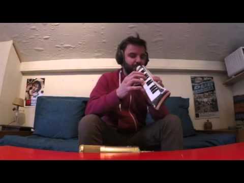 Art-X - Black Roses (freestyle melodica)