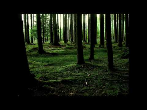 Sentenced - Aika Multaa Muistot / Everything Is Nothing (with lyrics)