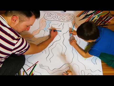 Kamil Pivot - Który rocznik?