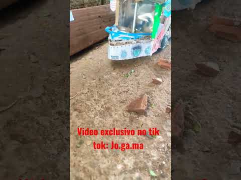 vídeo exclusivo no tik Tok Jo.ga.ma