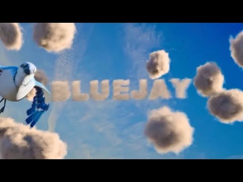 Video thumbnail for Bluejay