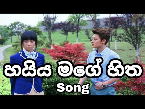 Haiya Mage Hitha (හයිය මගේ හිත) Raveen Tharuka (Sudu Mahaththaya) China love story