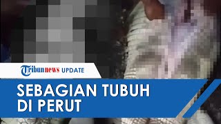 Buaya Pemangsa Bocah Pakai Ditembak Senapan Serbu, Jasad Korban Tanpa Kepala Ada di Perut