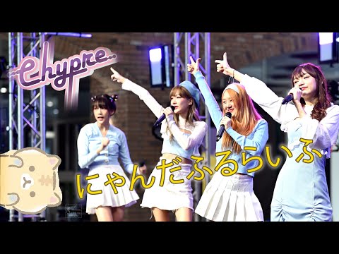 「にゃんだふるらいふ 」Chypre