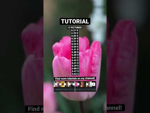 Photo Transition Tutorial to "Little do you know beat cry" by Yagih Mael (App: CapCut)