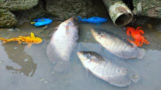 Download lagu Finding Big Gurame fish in river, sea animal toys, lobster, shark, crab - Part230 mp3