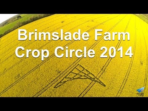 Crop Circle 2014 - Brimslade Farm, nr Wootton Rivers