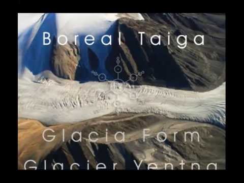 Boreal Taiga - Glacier Yentna