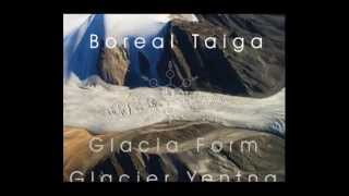 Boreal Taiga - Glacier Yentna