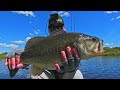 Video Thumbnail for Kayak Sight Fishing Largemouth Bass in Saskatchewan