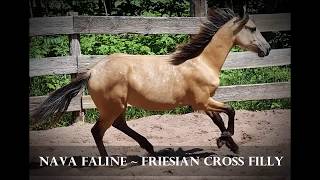 Nava Faline at Sunrise Ranch
