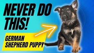 6 Things You Must Never Do With Your German Shepherd Puppy