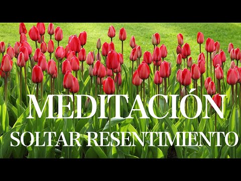 Guided meditation to release resentment and forgive