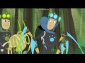 Go Wild Mission Wildnis Staffel 2 Folge 8 Das Geheimnis Der Seidenspinnen