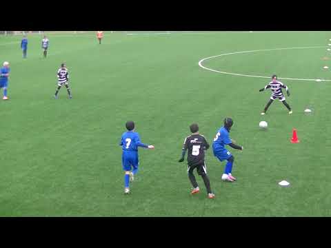 Dynamo ČB U12 - Zbrojovka Brno, 25.11.2017 (1.)