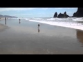 Barney Cannon Beach May 1 2014