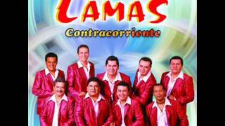 super lamas -cumbia de los pajaritos.