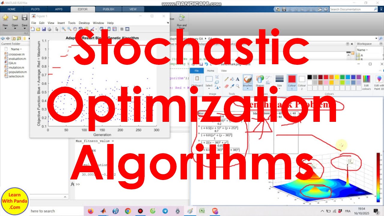 Stochastic Optimization Algorithms
