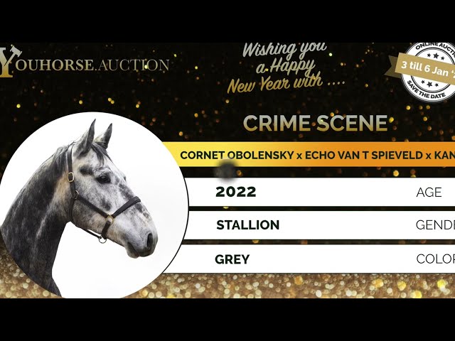 Crime Scene